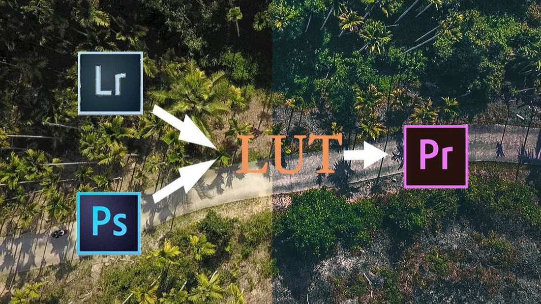 What is a LUT and How to Use Viltrox LUTs for Color Grading