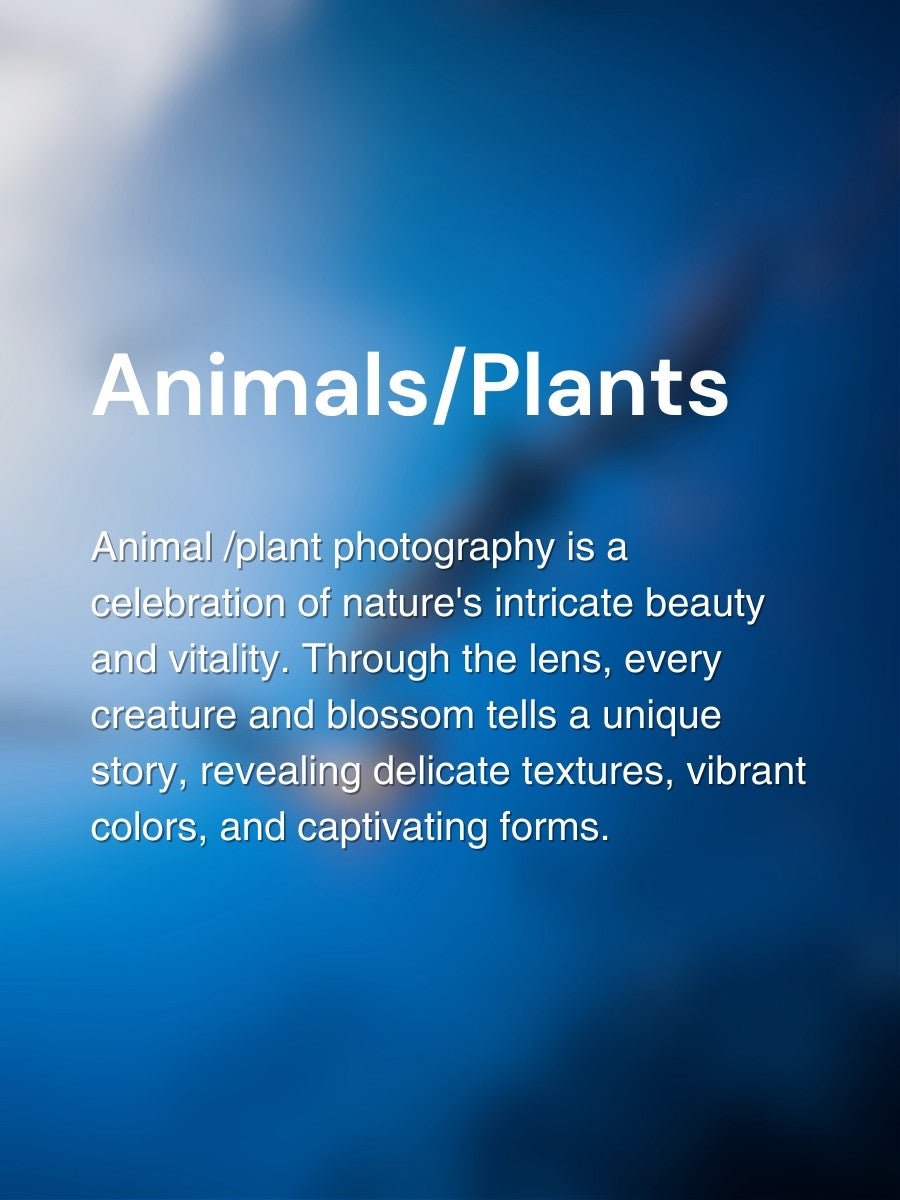 Viltrox Image Awards Animals&Plants