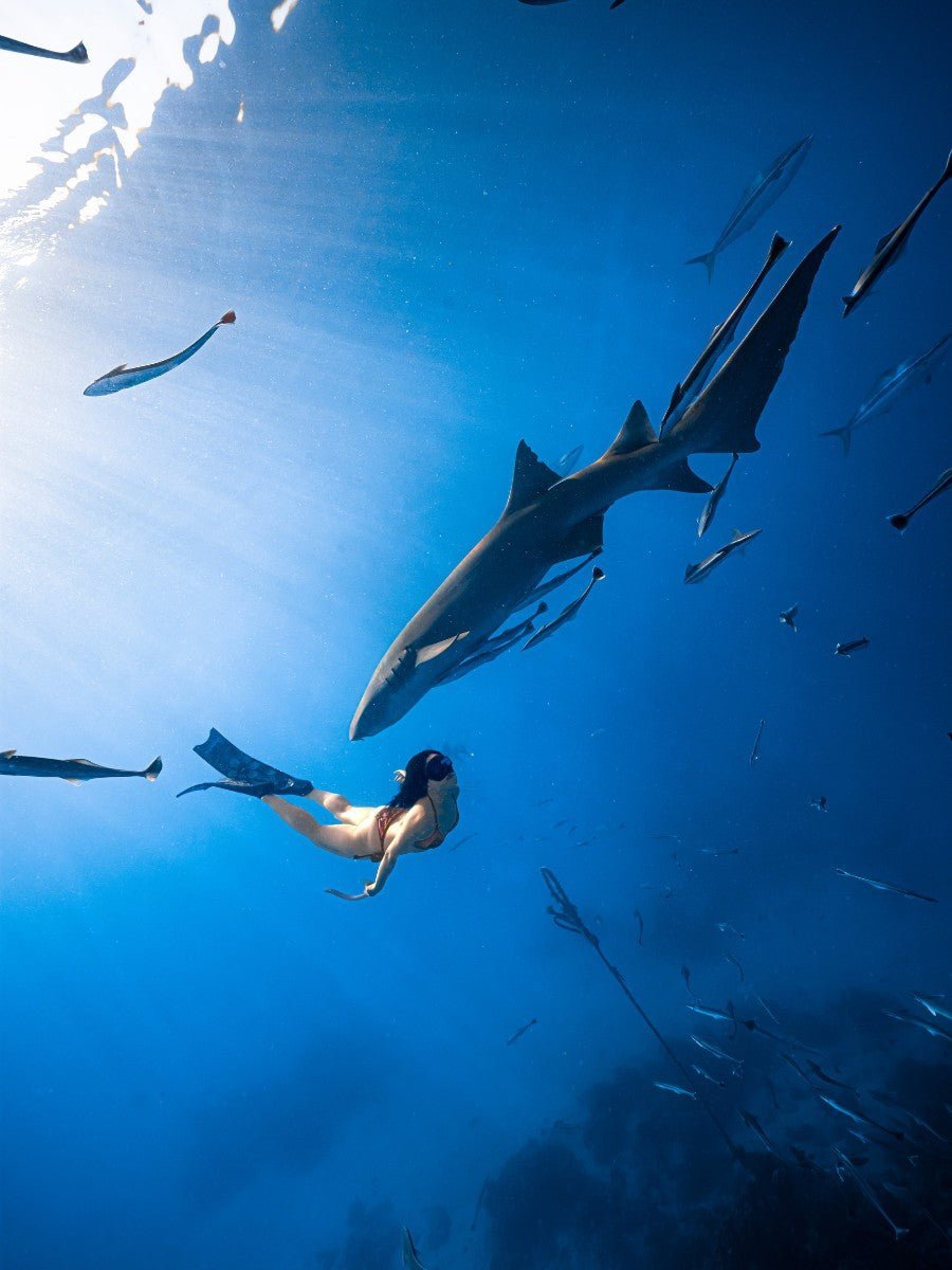 Viltrox Image Awards Animals&Plants